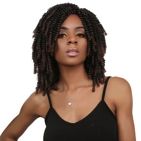 Authentic Synthetic Hair Crochet Braids Passion Spring Twist 8"