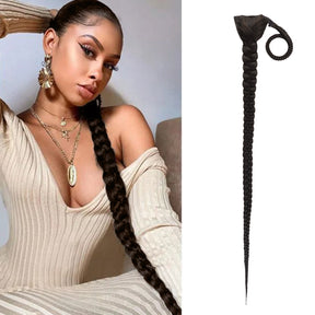 color 2 braided ponytail, high braided ponytail look with color 2 hair