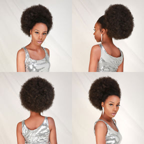 Retro Puff, Afro Pony, Large Ponytail